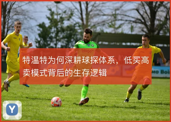 特温特为何深耕球探体系，低买高卖模式背后的生存逻辑