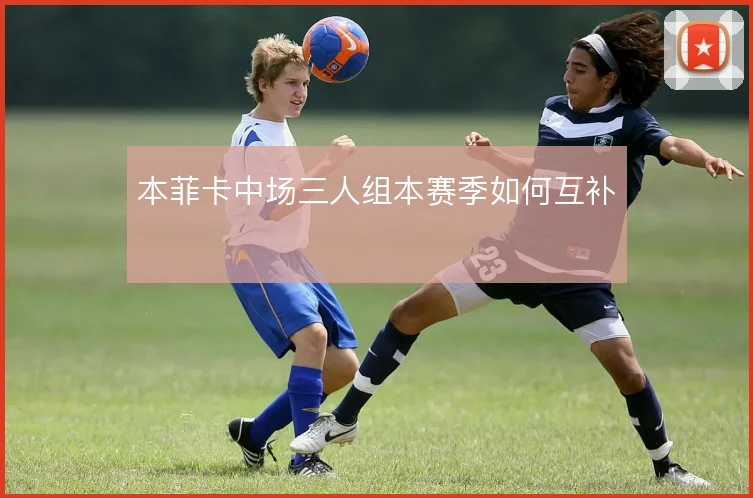 本菲卡中场三人组本赛季如何互补